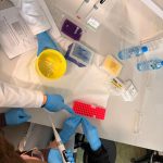  Laboratorium biotechnologiczne dla licealistów9